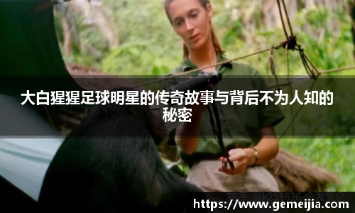 大白猩猩足球明星的传奇故事与背后不为人知的秘密